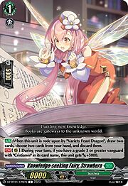 Knowledge-seeking Fairy, Strawbera