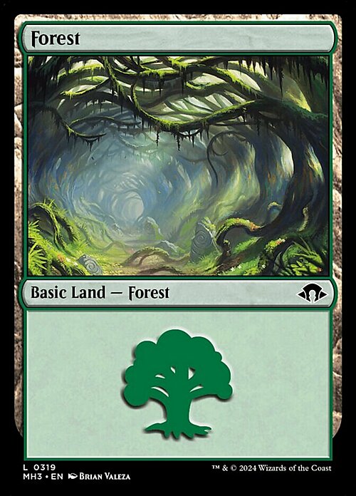 Forest Card Front