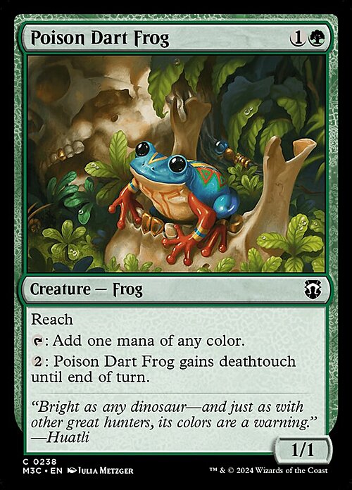 Poison Dart Frog Card Front