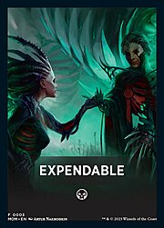 Theme Card: Expendable