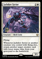 Jackdaw Savior