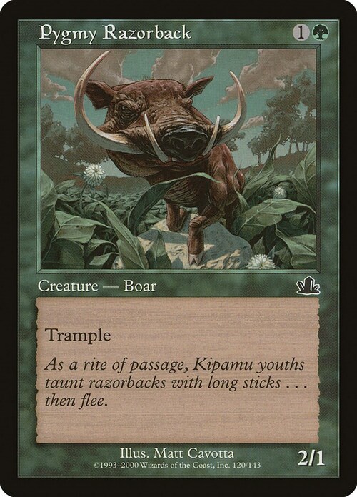 Pygmy Razorback Card Front