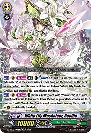 White Lily Musketeer, Cecilia