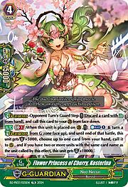 Flower Princess of Cherry, Kosterina