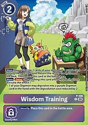 Wisdom Training