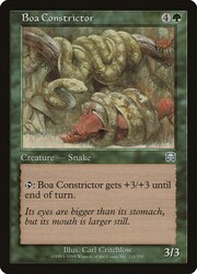 Boa Constrictor