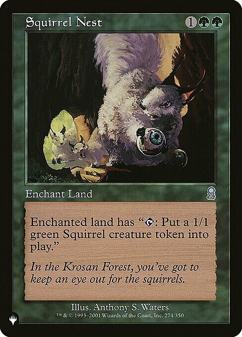 Squirrel Nest Card Front