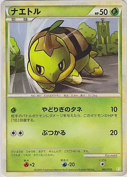 Turtwig Card Front