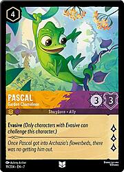 Pascal - Garden Chameleon