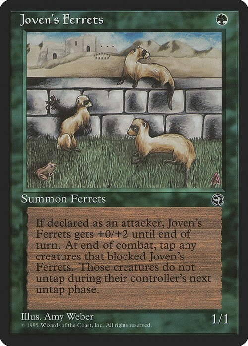 Joven's Ferrets Card Front