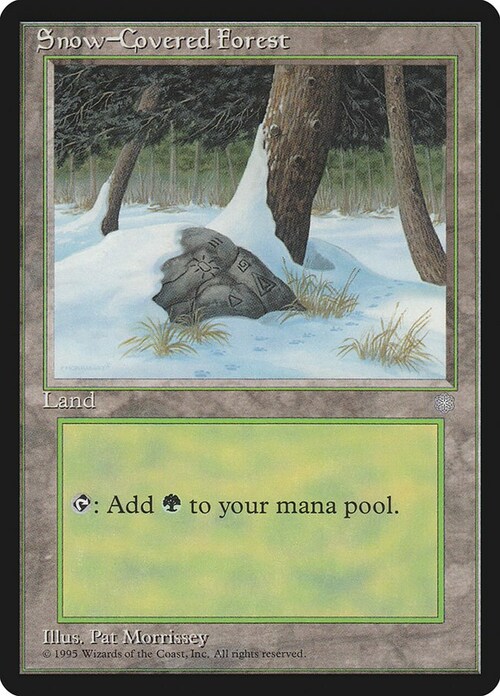 Snow-Covered Forest Card Front