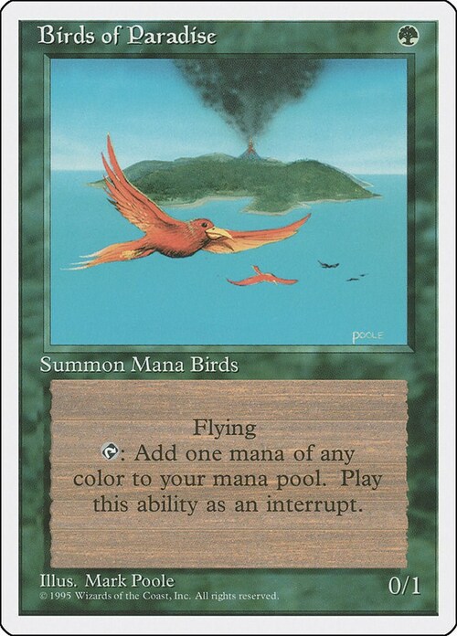 Birds of Paradise Card Front