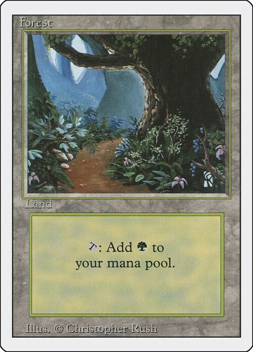 Forest Card Front