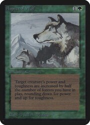 Aspect of Wolf