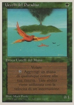 Birds of Paradise Card Front