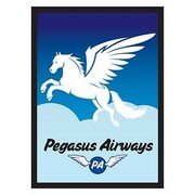 50 Buste Pegasus Airways