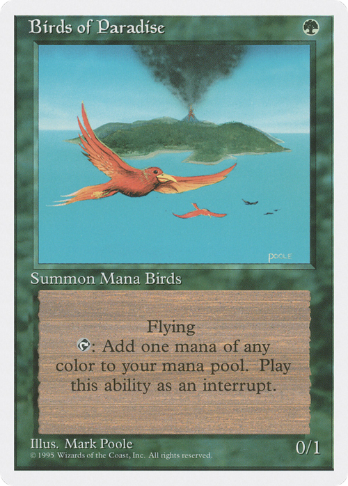 Birds of Paradise Card Front