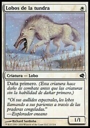 Lupi della Tundra