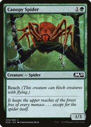 Canopy Spider