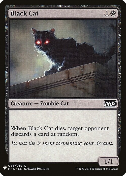 Black Cat Card Front