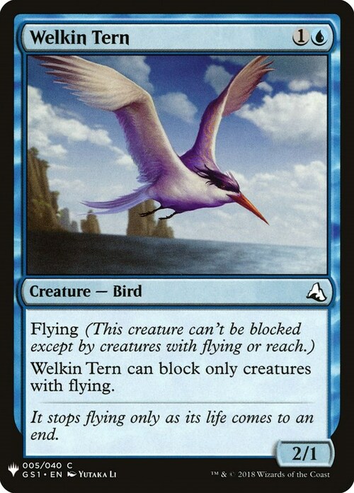 Welkin Tern Card Front