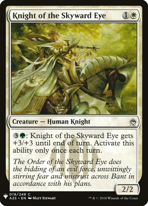 Knight of the Skyward Eye Card Front