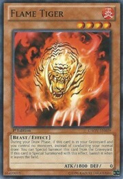 Flame Tiger