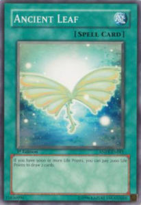 Ancient Leaf Card Front