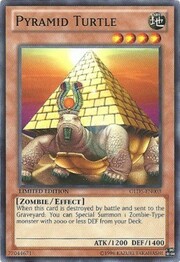 Pyramid Turtle