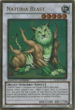 Naturia Beast Card Front