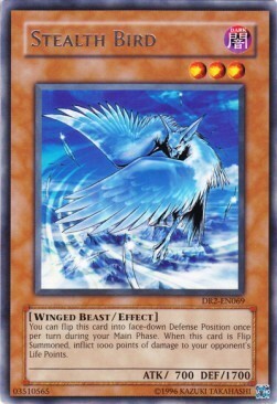 Stealth Bird Card Front