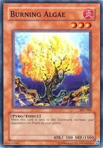 Burning Algae Card Front