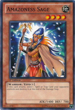 Amazoness Sage Card Front