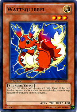 Wattsquirrel Card Front