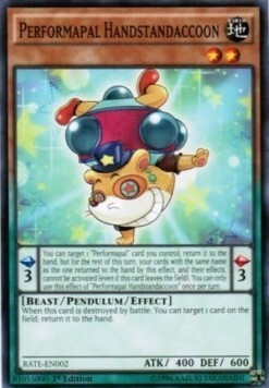 Performapal Handstandaccoon Card Front