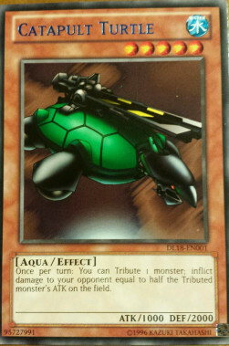 Catapult Turtle Card Front