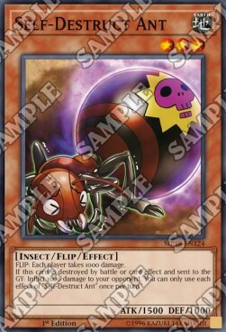 Self-Destruct Ant Card Front