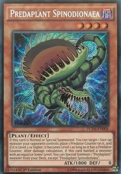 Predaplant Spinodionaea Card Front