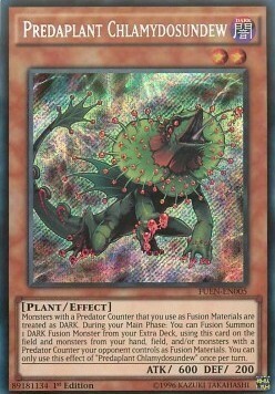 Predaplant Chlamydosundew Card Front