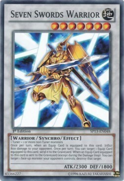 Seven Swords Warrior Card Front