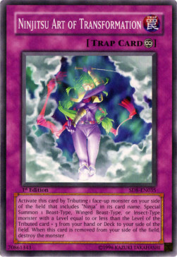 Ninjitsu Art of Transformation Card Front