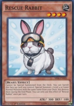 Rescue Rabbit Card Front