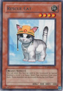 Rescue Cat Card Front