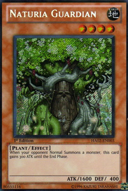 Naturia Guardian Card Front