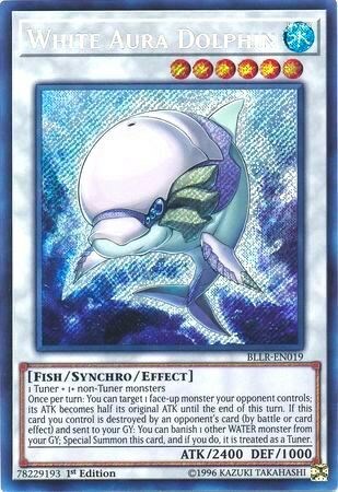 White Aura Dolphin Card Front