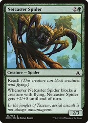 Netcaster Spider