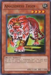 Amazoness Tiger