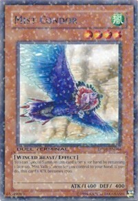 Mist Condor Card Front