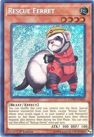 Rescue Ferret Card Front