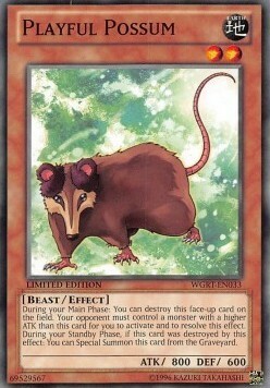 Playful Possum Card Front